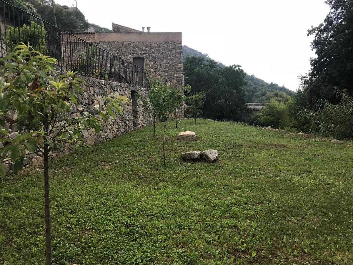 Chambres d'hôtes - Mulino nannaré Ville-di-Paraso Exterior foto