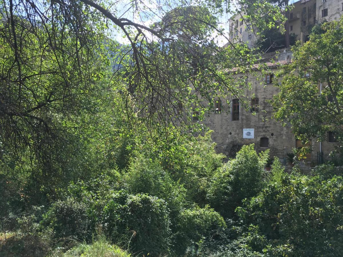 Chambres d'hôtes - Mulino nannaré Ville-di-Paraso Exterior foto