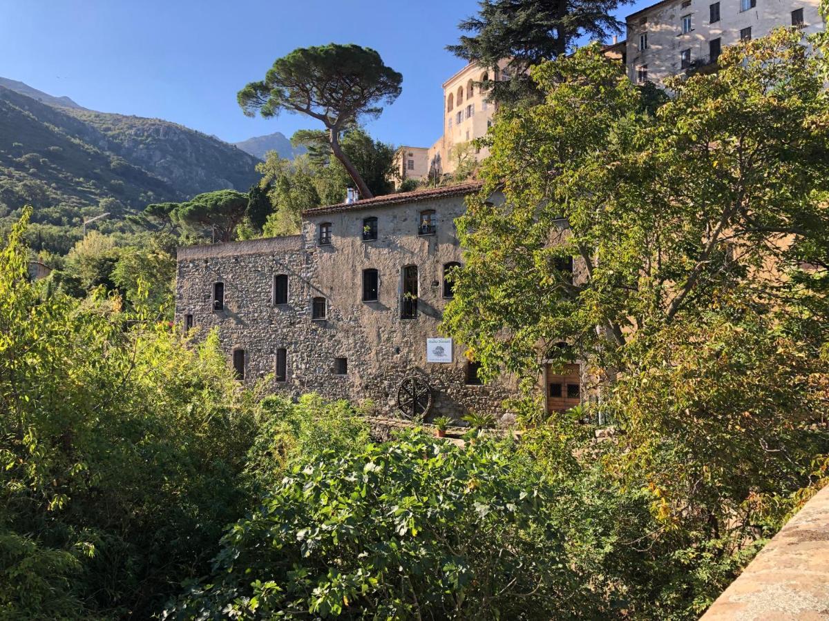 Chambres d'hôtes - Mulino nannaré Ville-di-Paraso Exterior foto